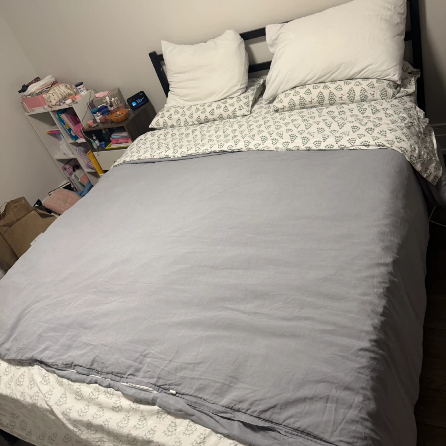 Queen bed and metal frame