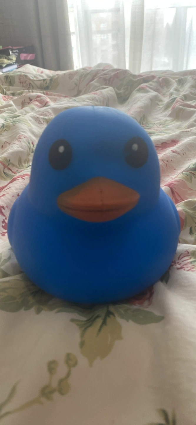 Laffy Quacks Blue Squishy Duck Toy