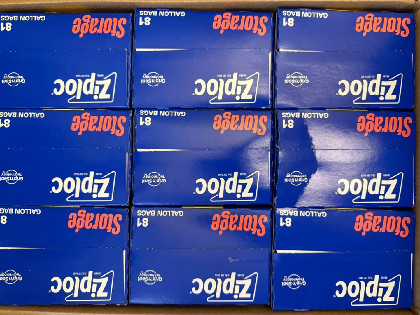 Ziploc Gallon Storage Bags – Mega Pack (81 Bags) – New - photo 4