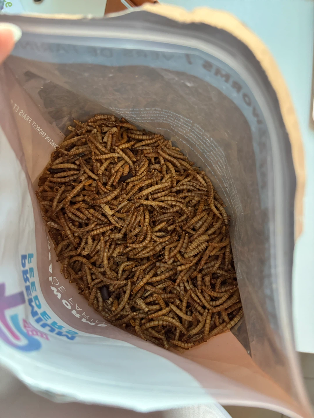 Premium Feeders Mealworms - 1lb Bag 🌱 - photo 5