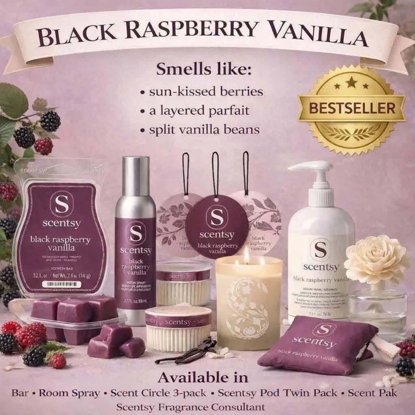 Scentsy Black Raspberry Products