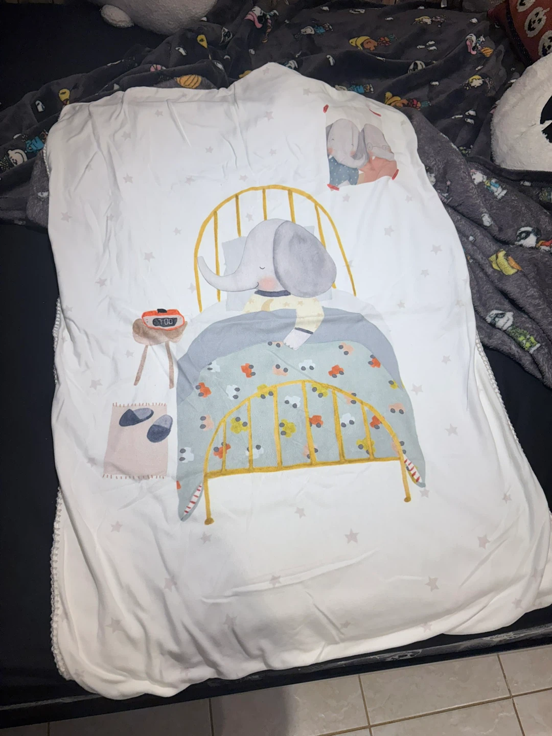 ZARA blanket