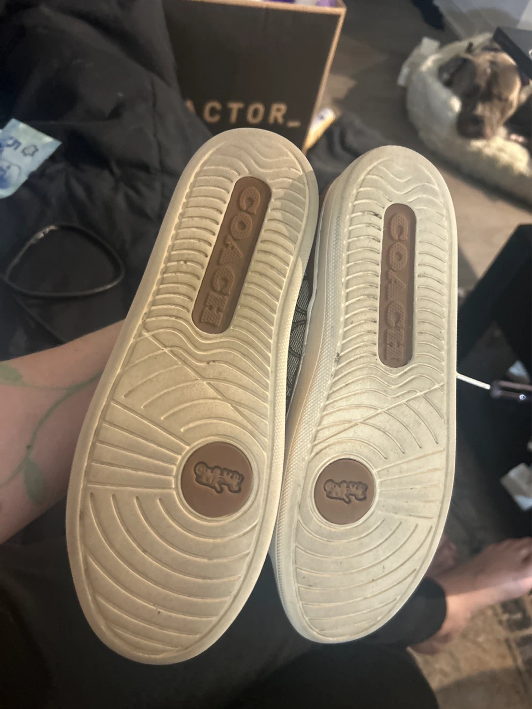 Coach Signature Canvas Sneakers - photo 2