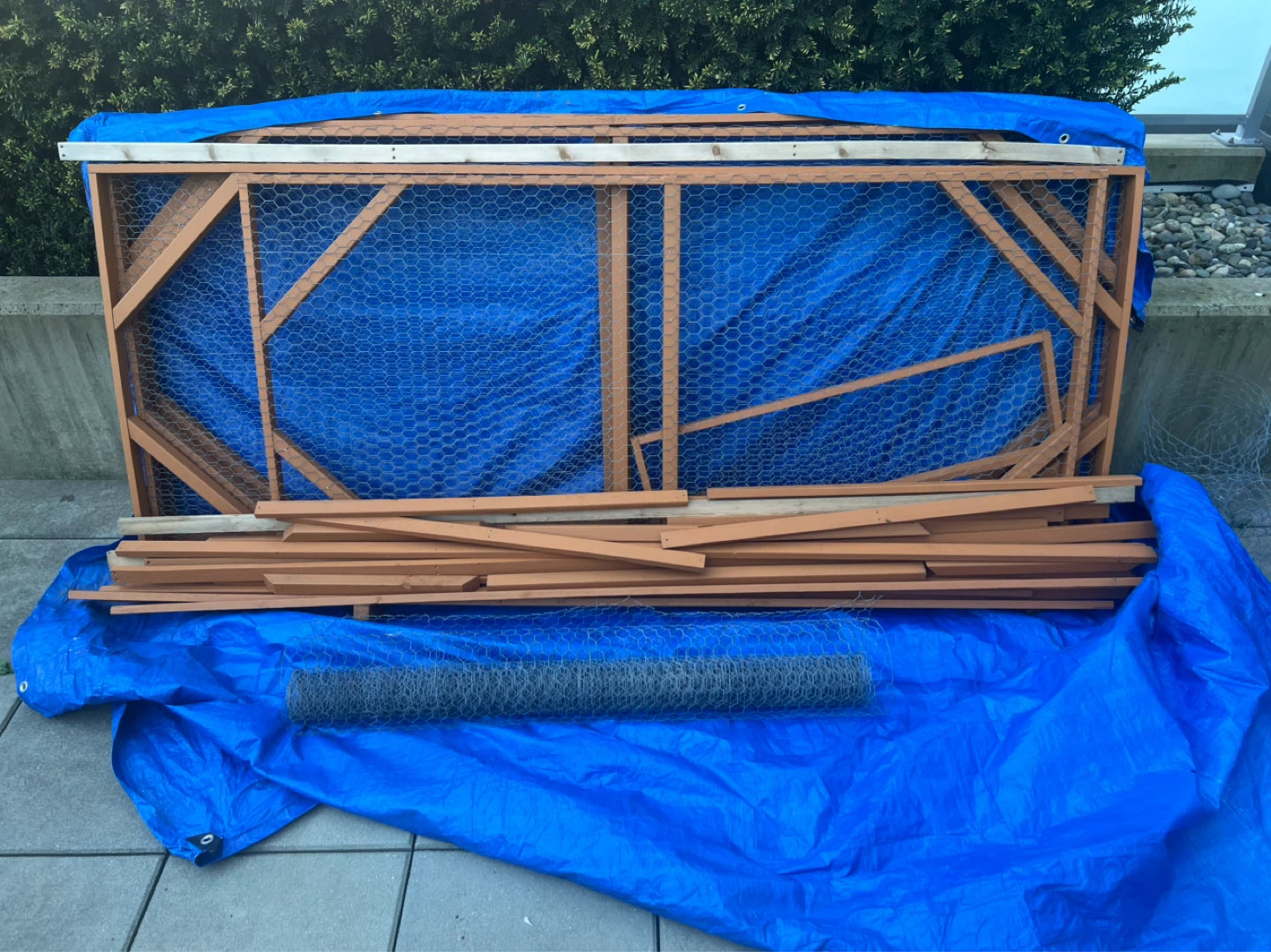 Catio project