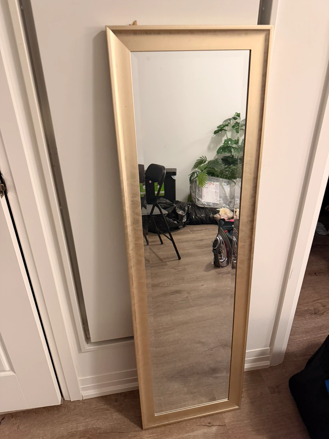 Full Length Mirror