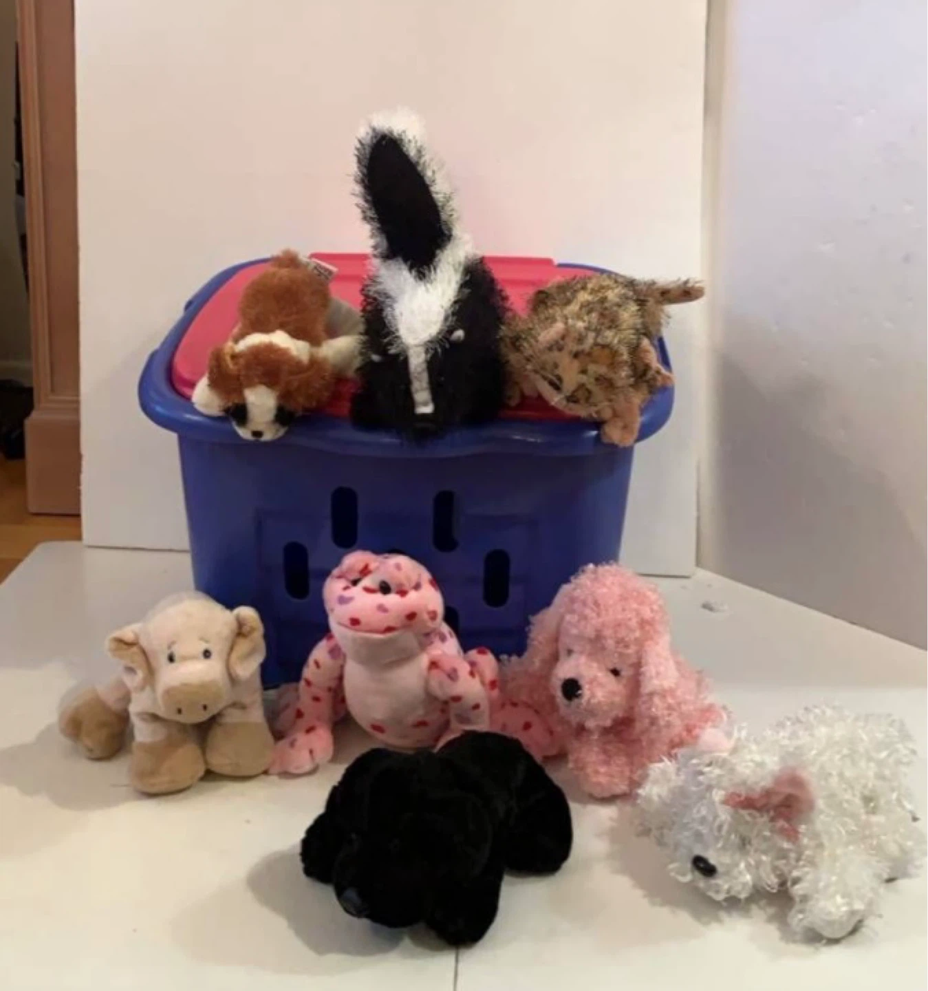 Webkinz Plush Toys, Accessories, and Play the Games Box - photo 4