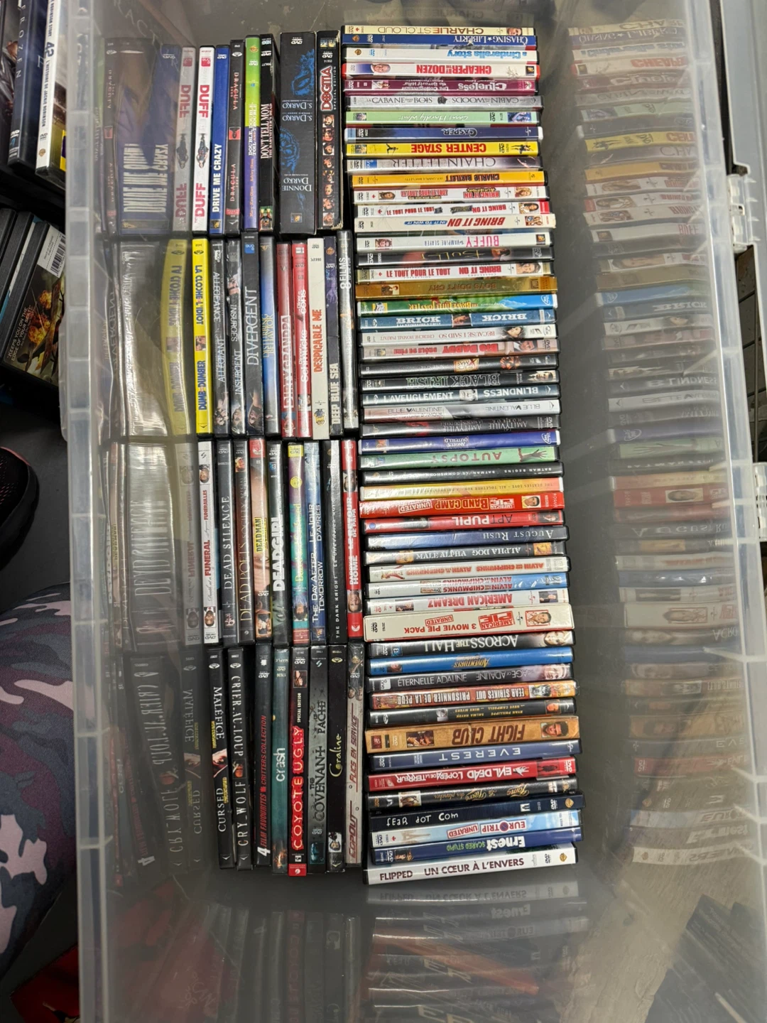 Collection of assorted DVD movies
