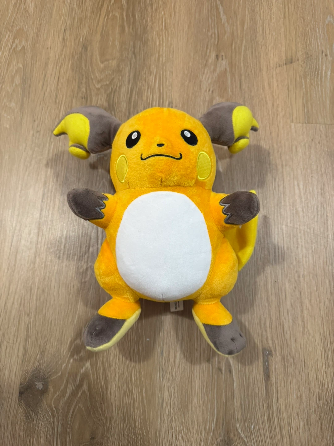 Pokemon Raichu Plush Toy