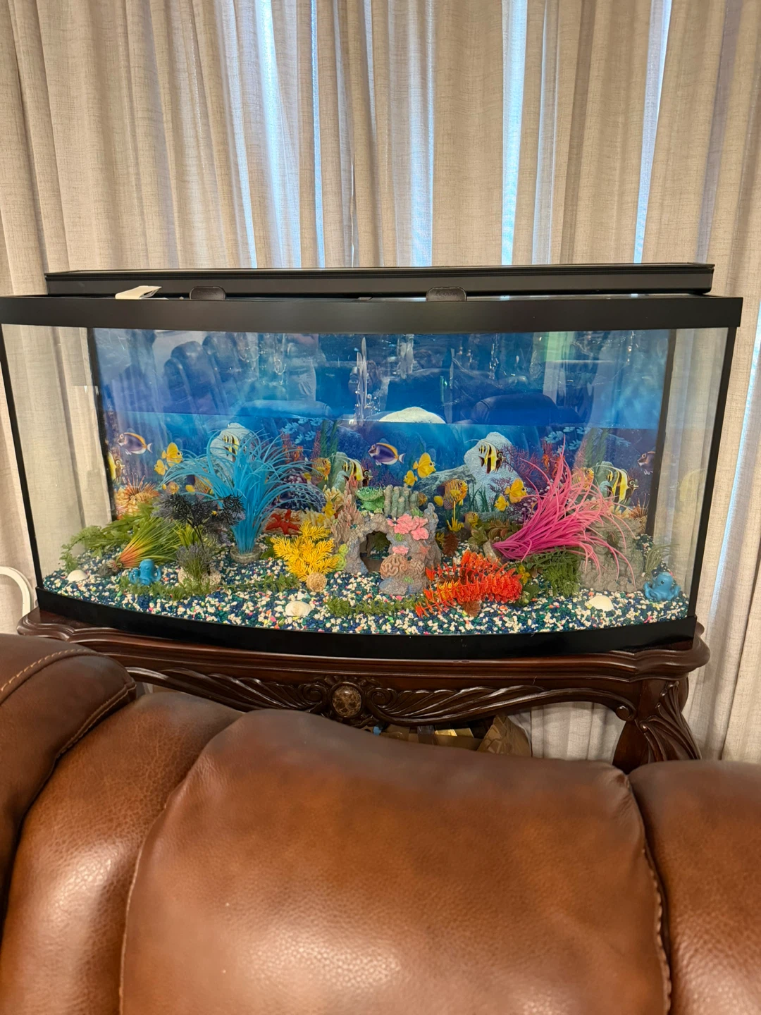 Curved Front Aquarium with Decorations and Fish