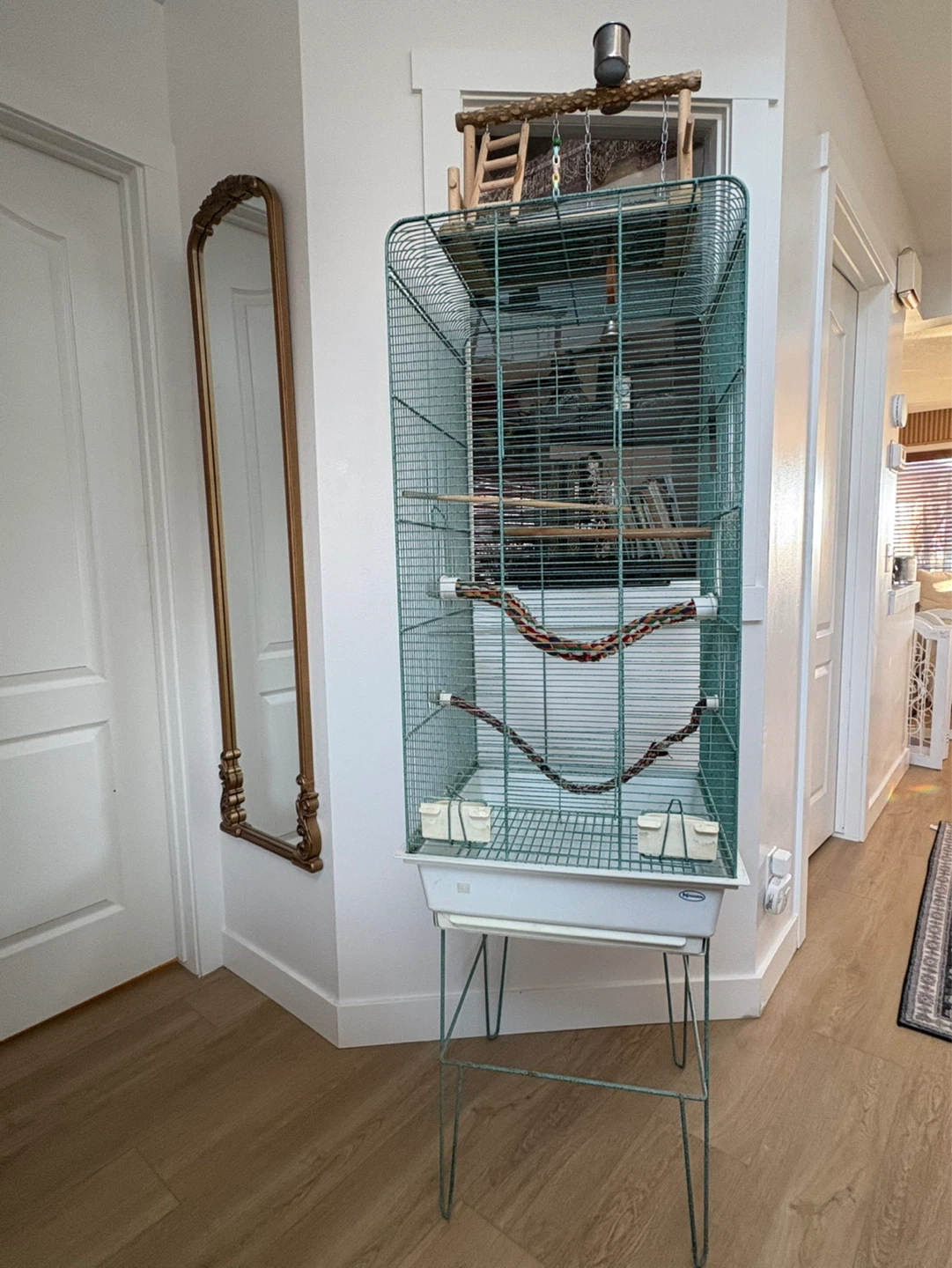 Large Bird Cage with Accessories