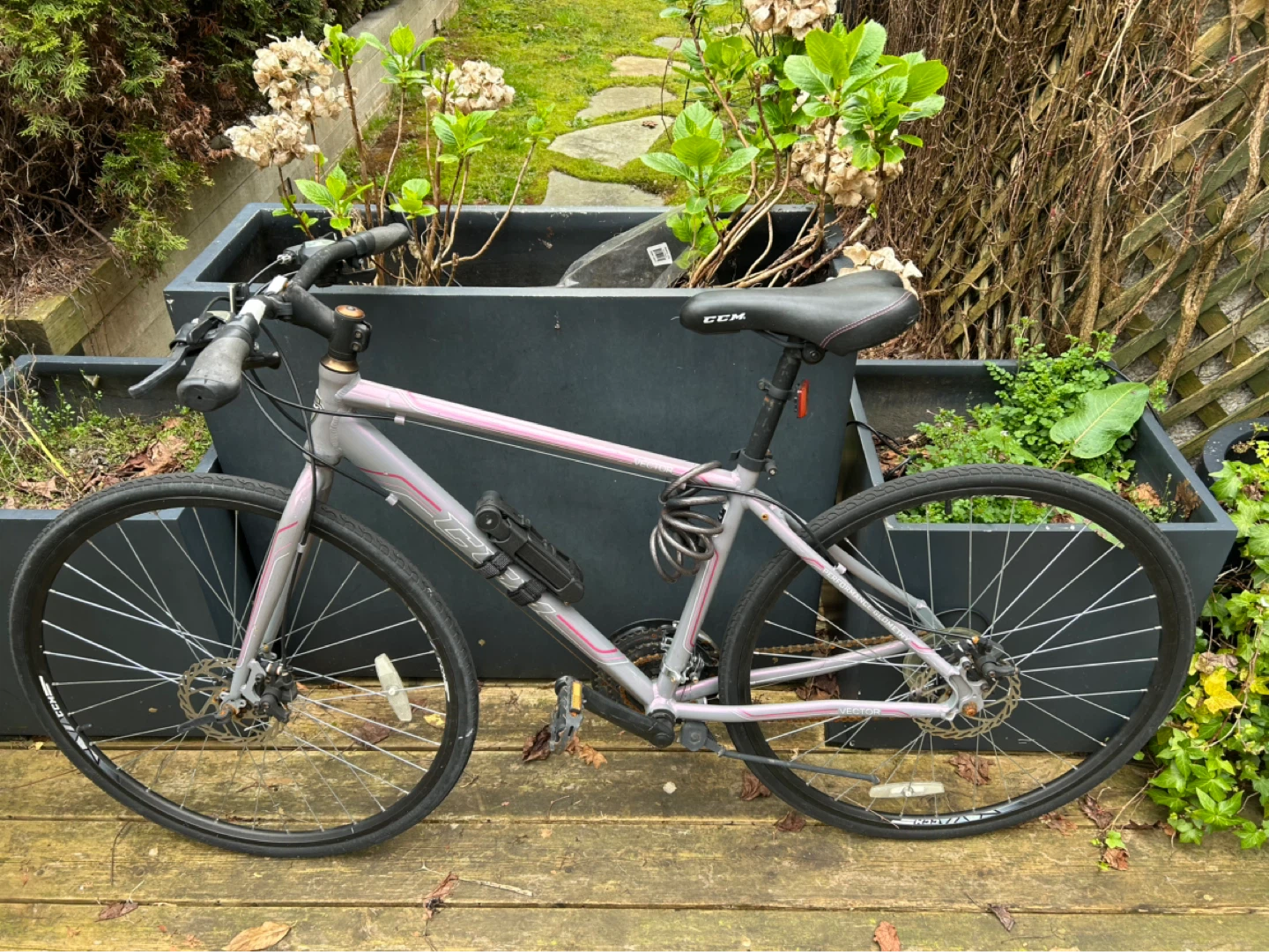 CCM Vector Women's Hybrid Bike