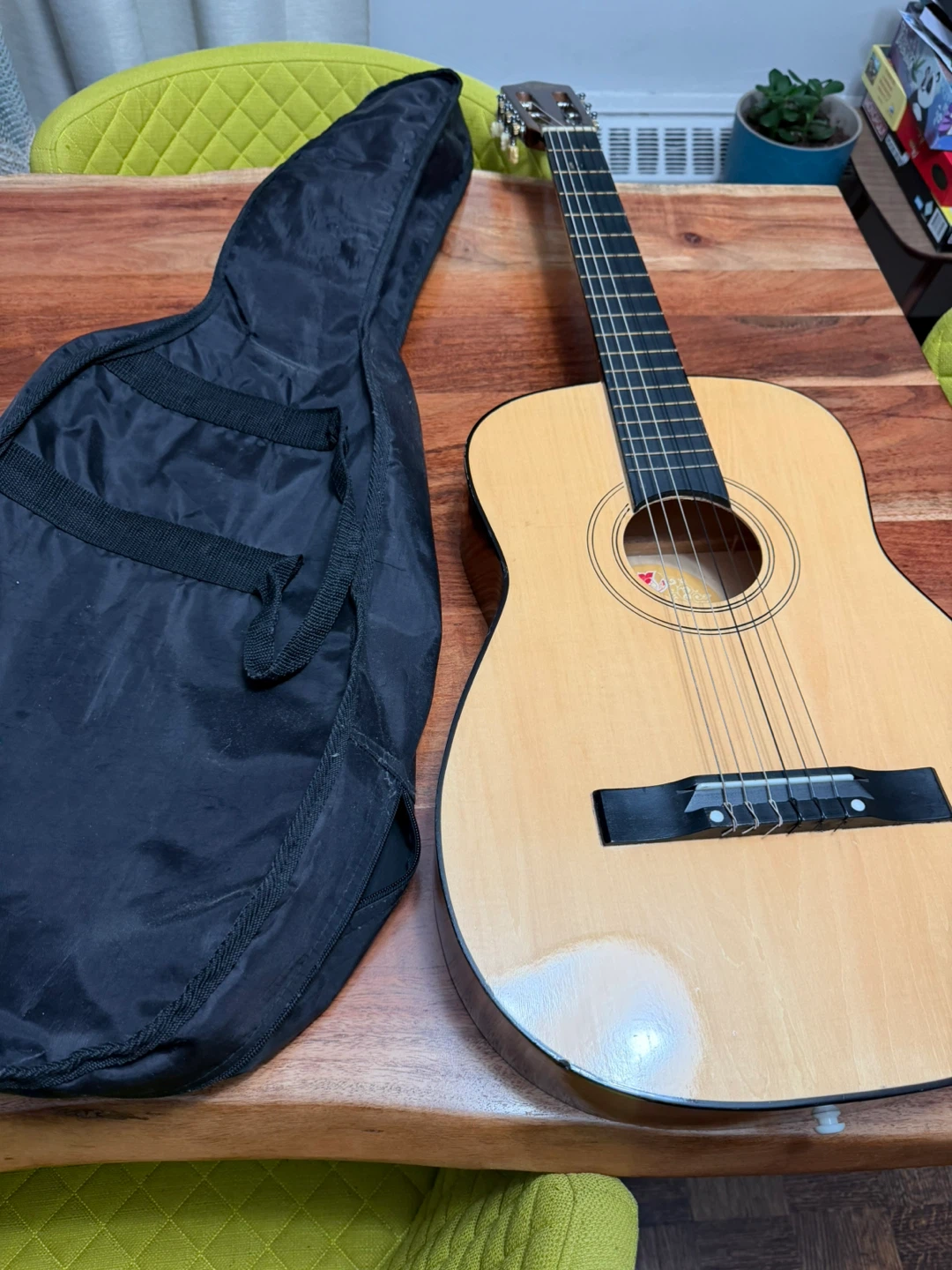 Acoustic Guitar with Gig Bag