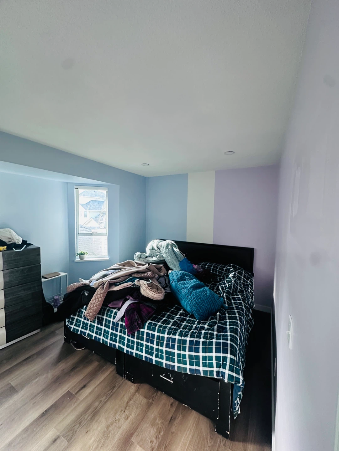 Professional painting (Painter)