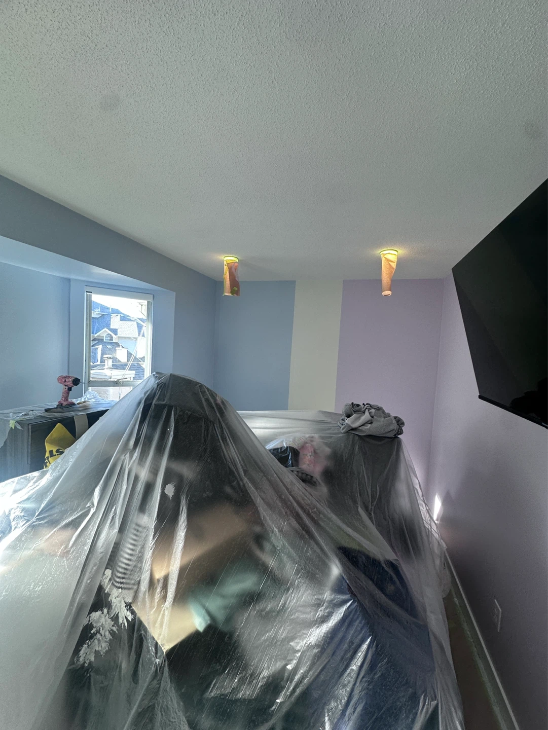 Professional painting (Painter) - photo 3