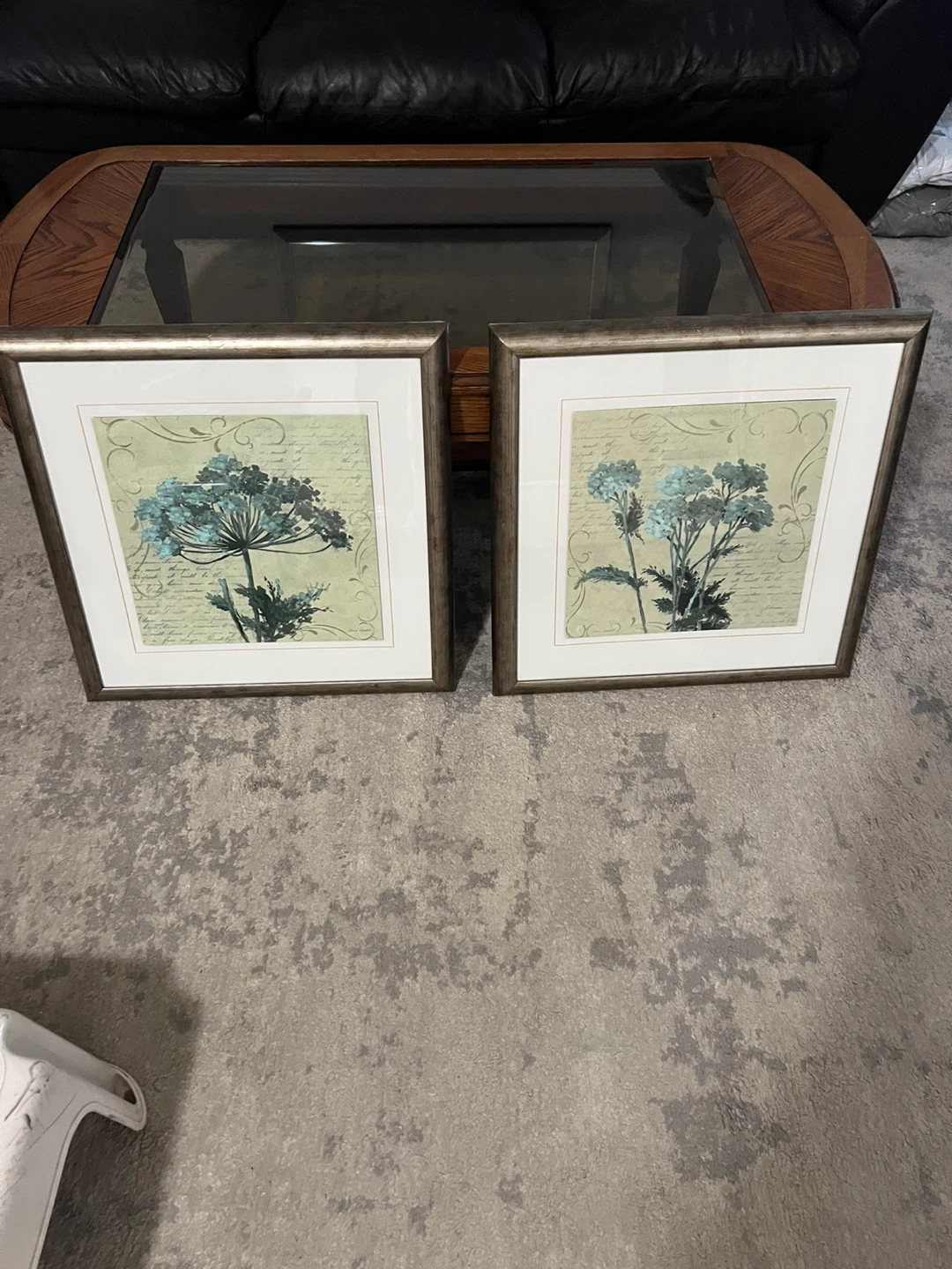 Set of 2 Framed Botanical Prints