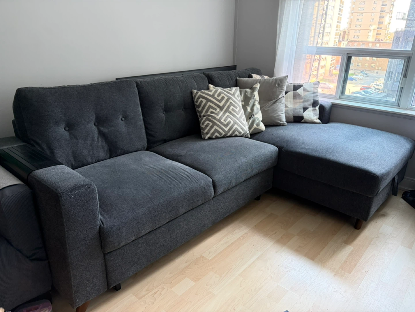 Structube Renee Sofa-Bed