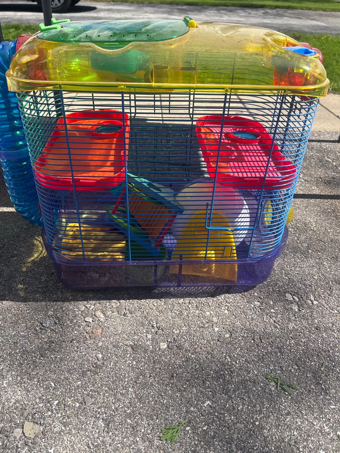 Multi-Level Hamster Cage with Tubes