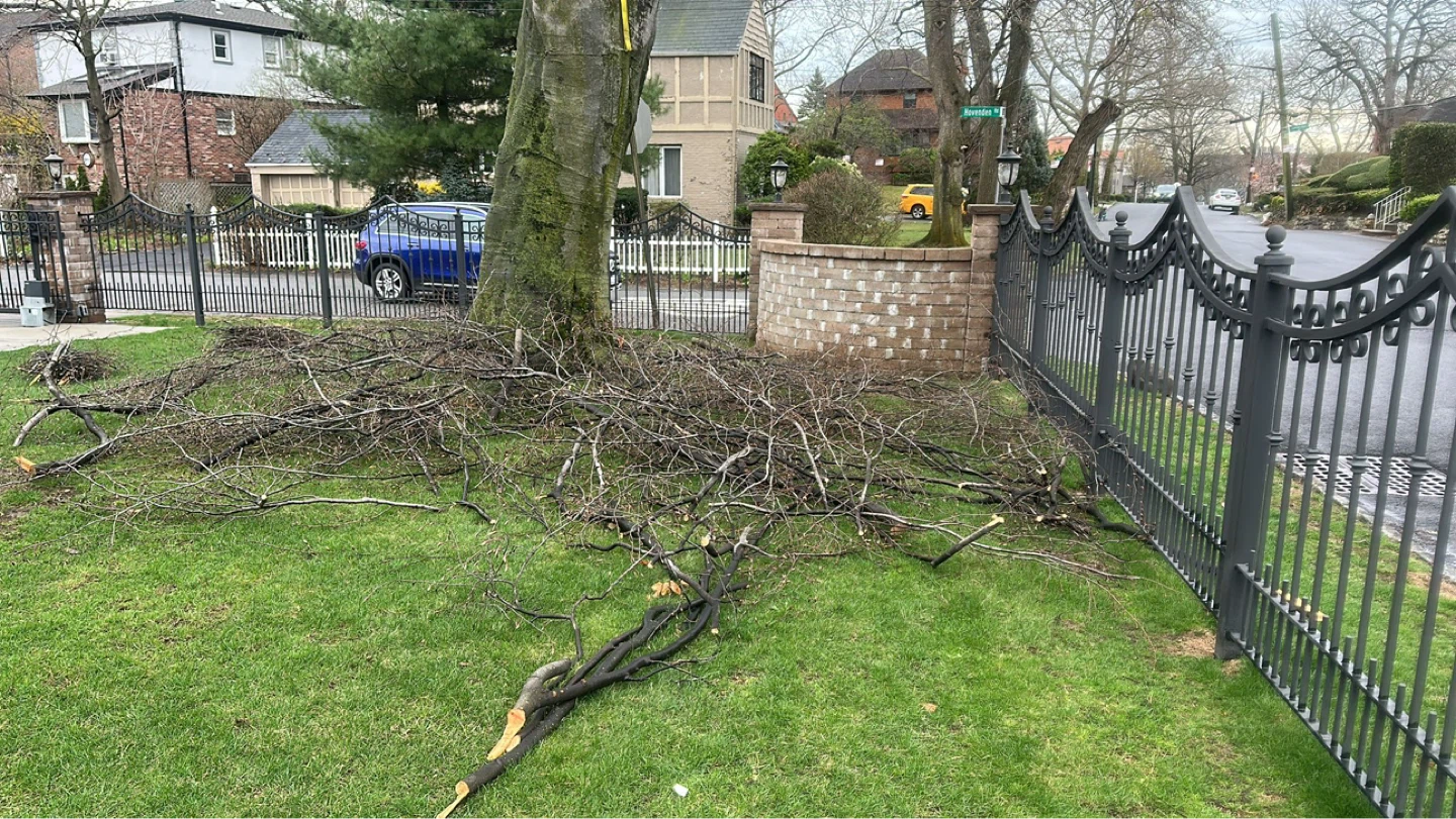 Landscaping  Care Services tri sevices  , New York - photo 3