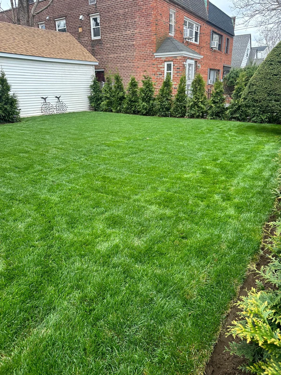 Landscaping  Care Services tri sevices  , New York - photo 2