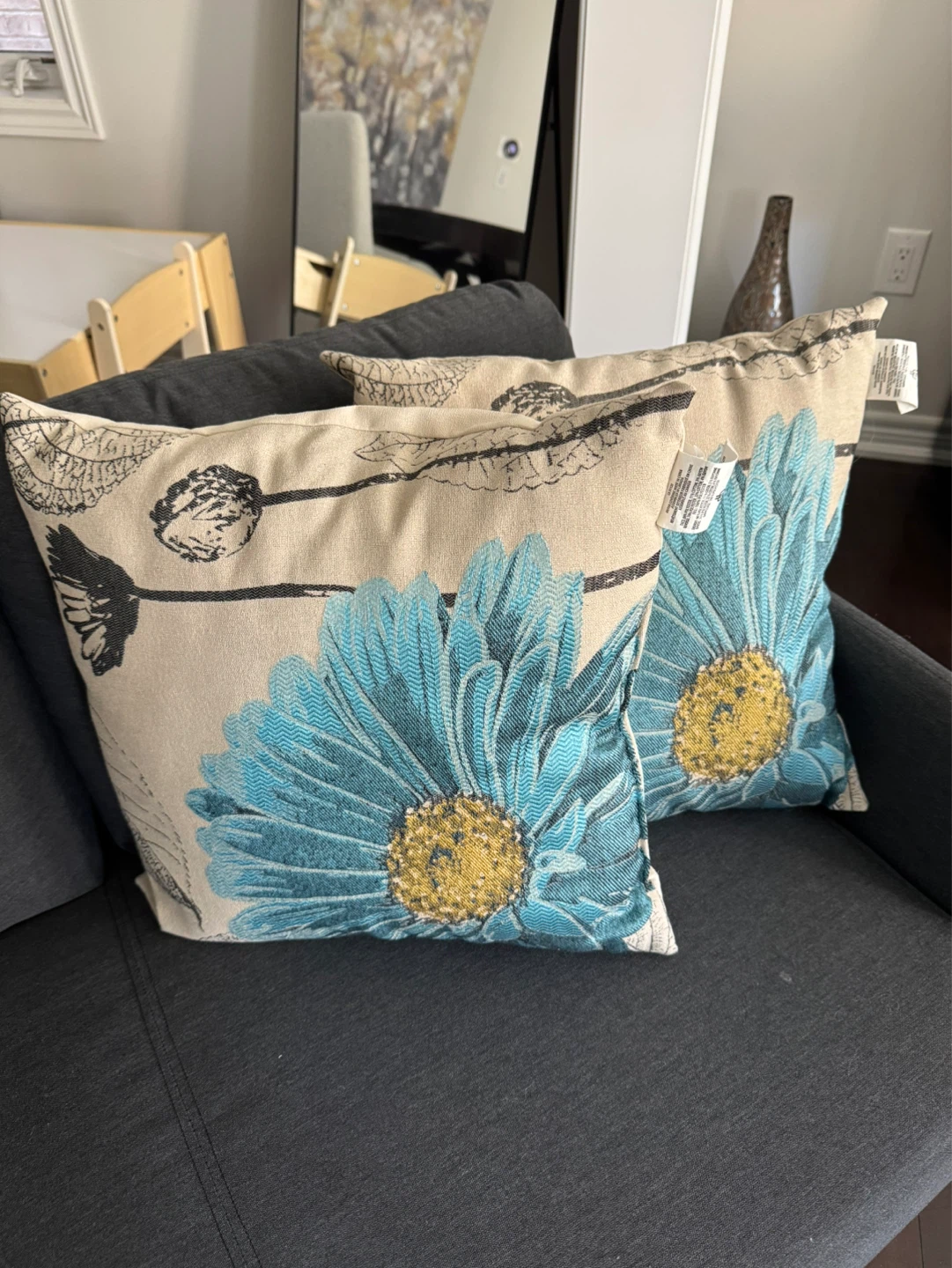Throw Pillows Set of 2