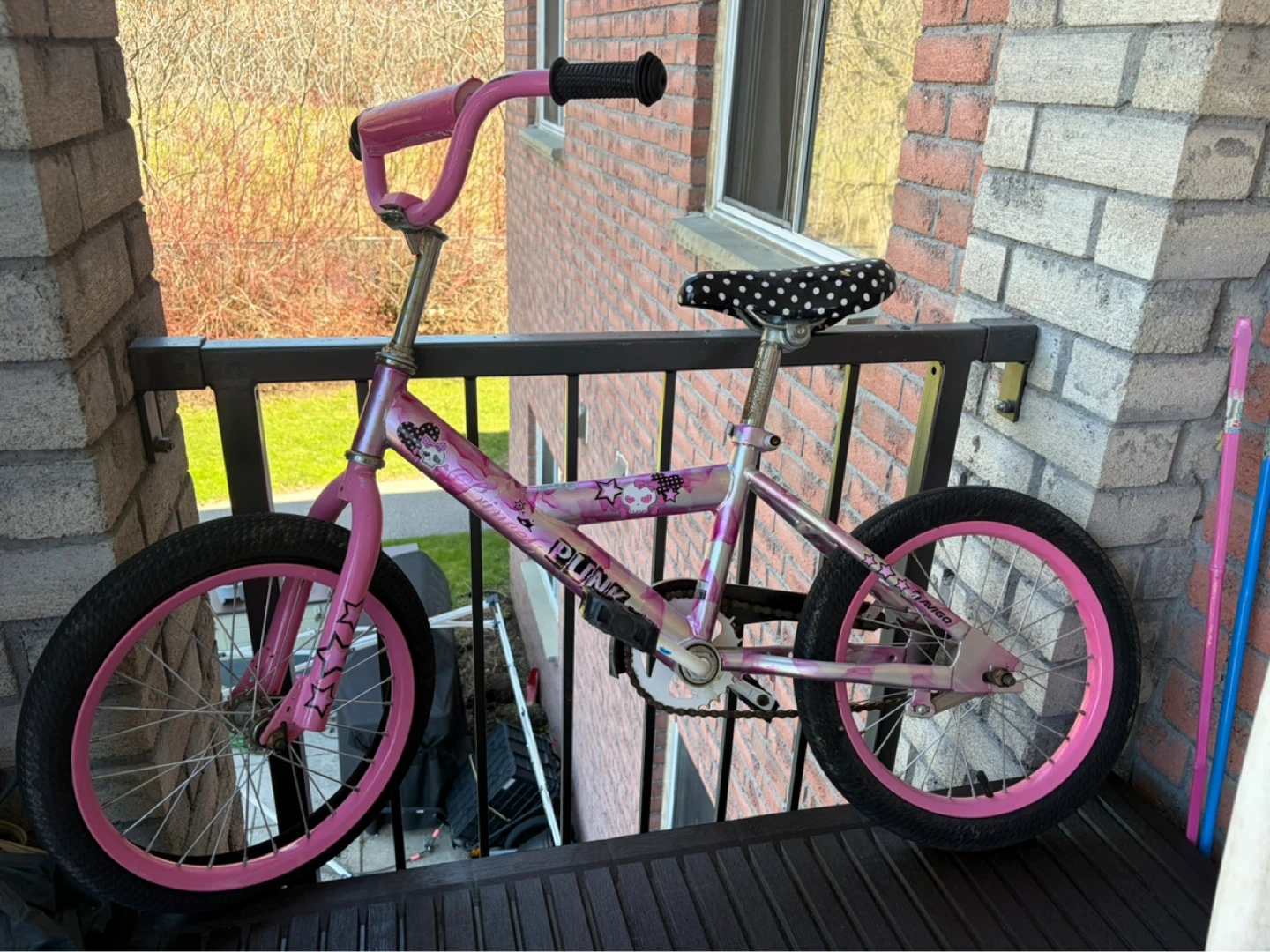 Pink "Princess Punk" Kids Bike