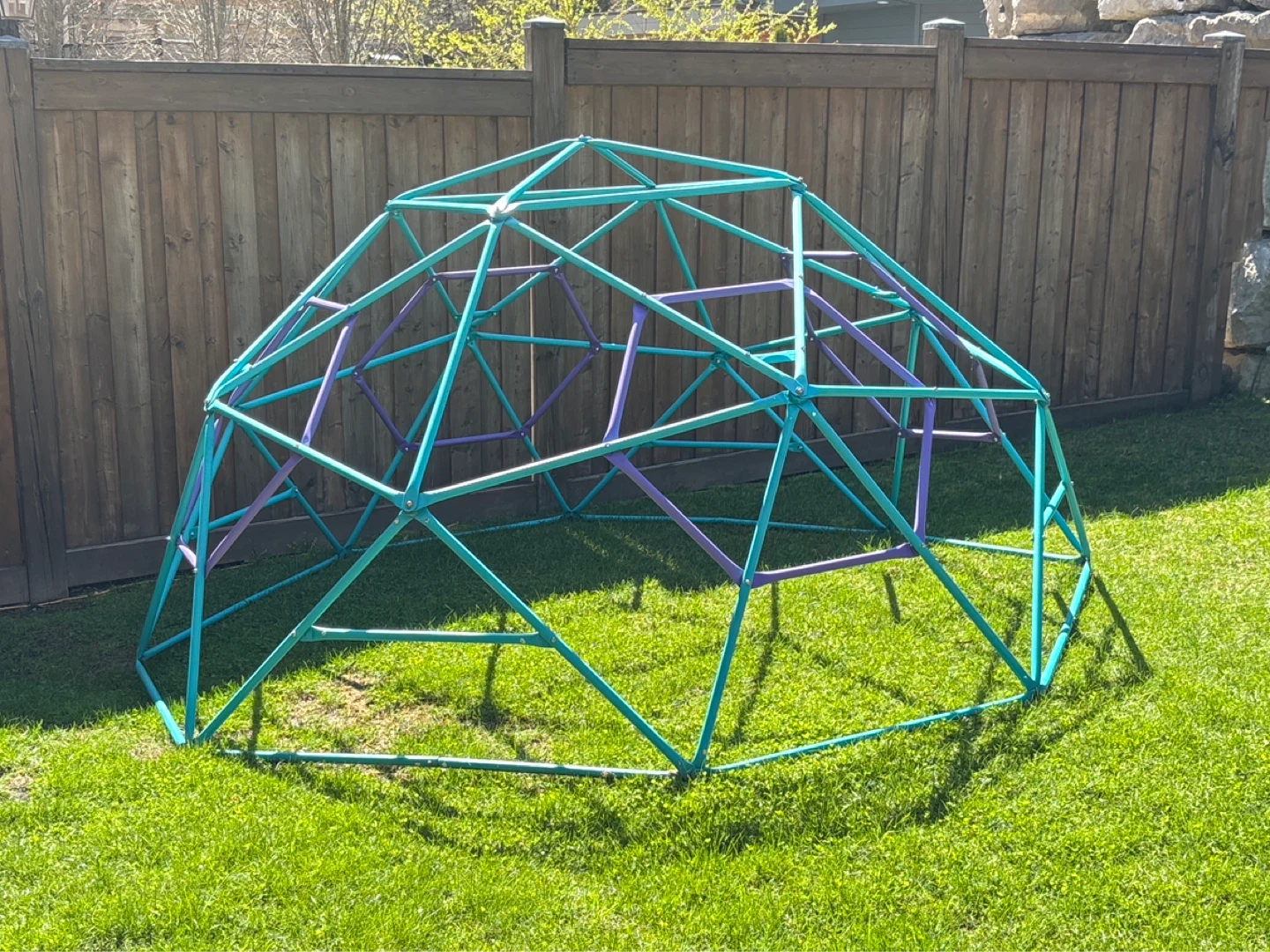 Kids Climbing Dome - Teal and Purple - photo 2