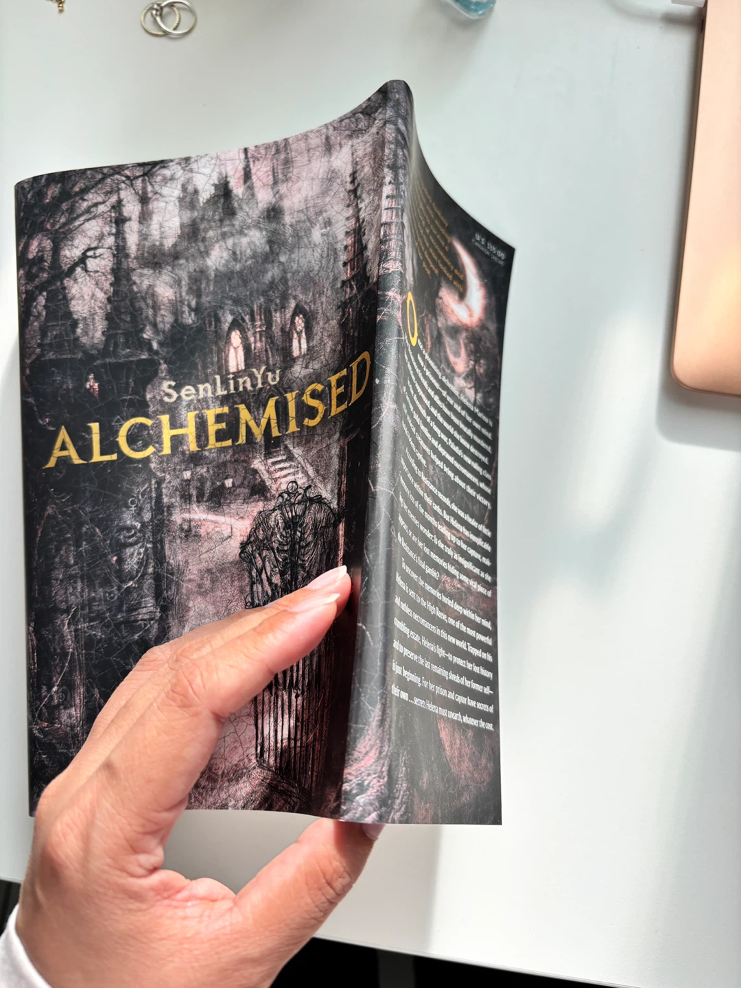 Alchemised by SenLinYu - Fantasy Novel - photo 2