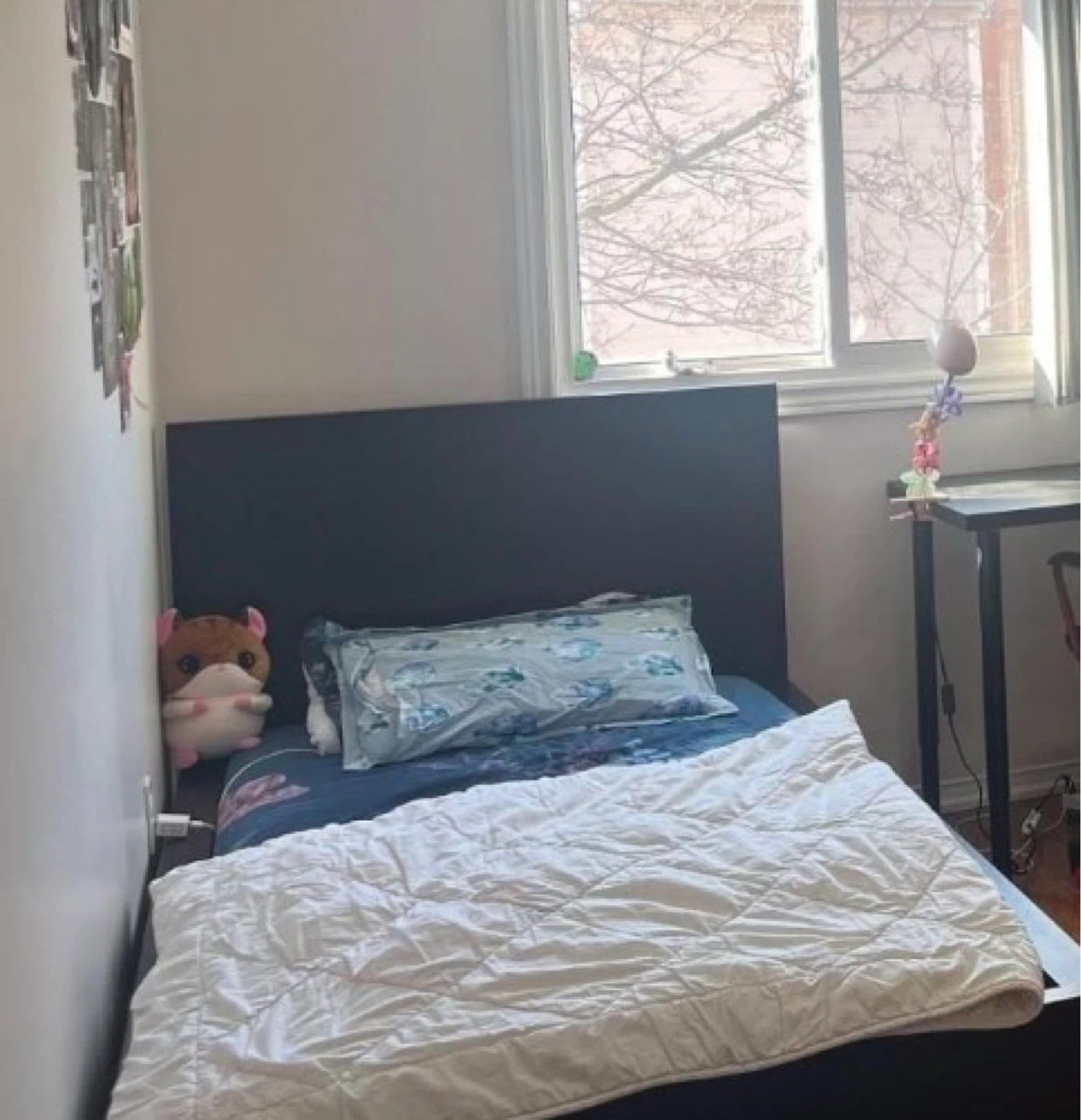 ikea MALM Dark Wood Bed Frame