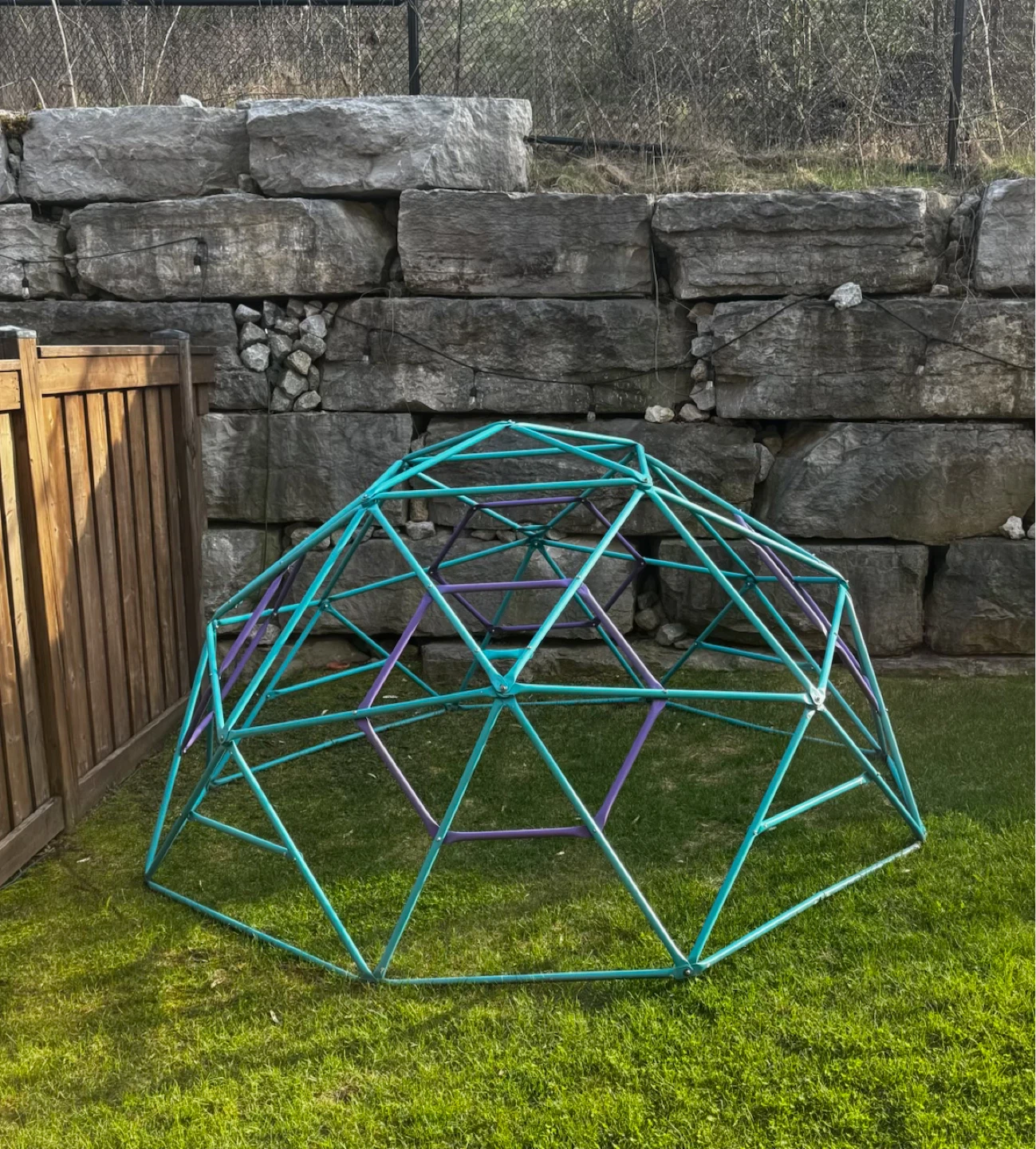 Kids Climbing Dome - Teal and Purple