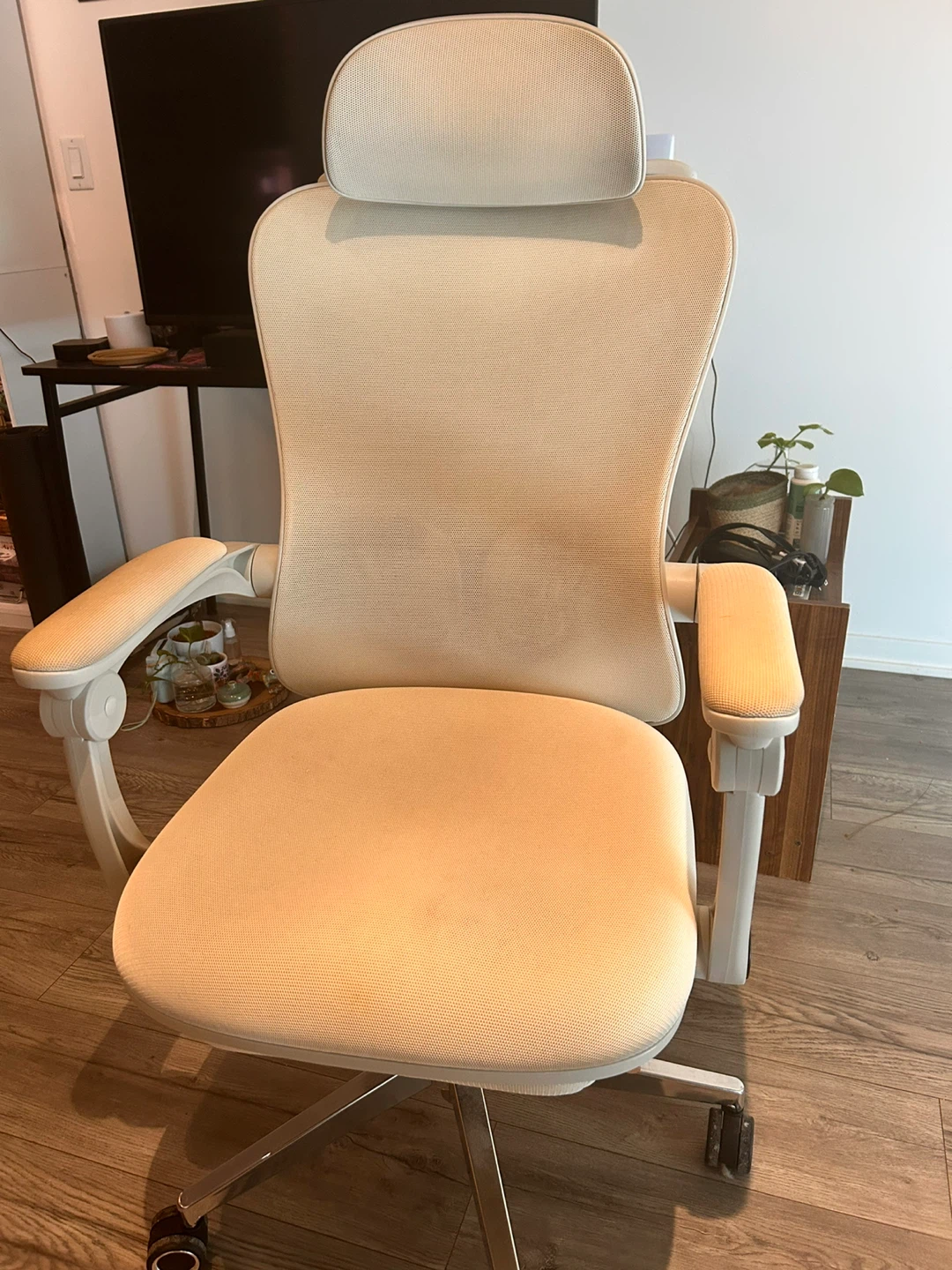 Ergonomic Office Chair
