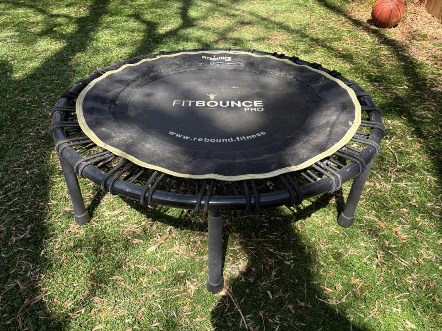 FitBounce Pro Rebounder Trampoline