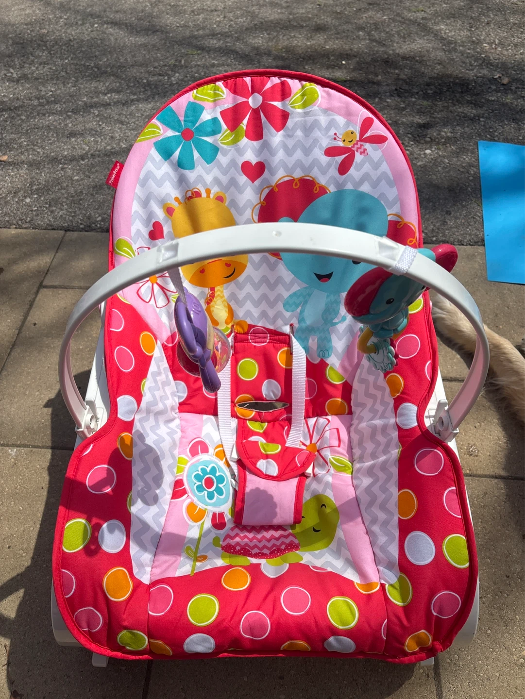 Fisher-Price Baby Bouncer