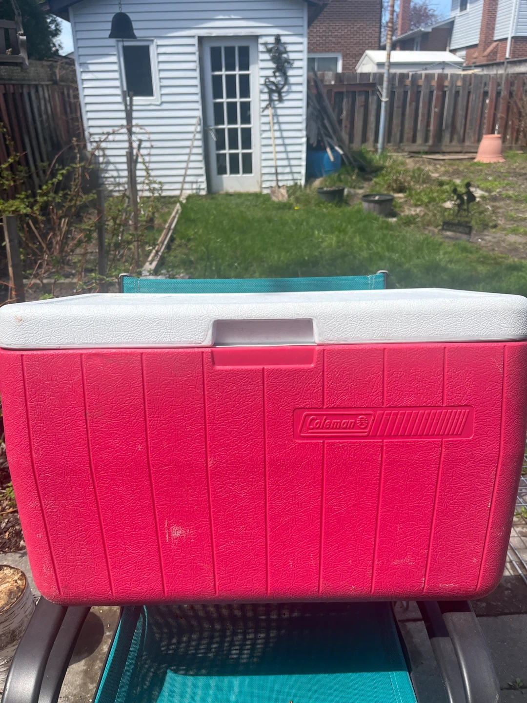 Coleman Cooler