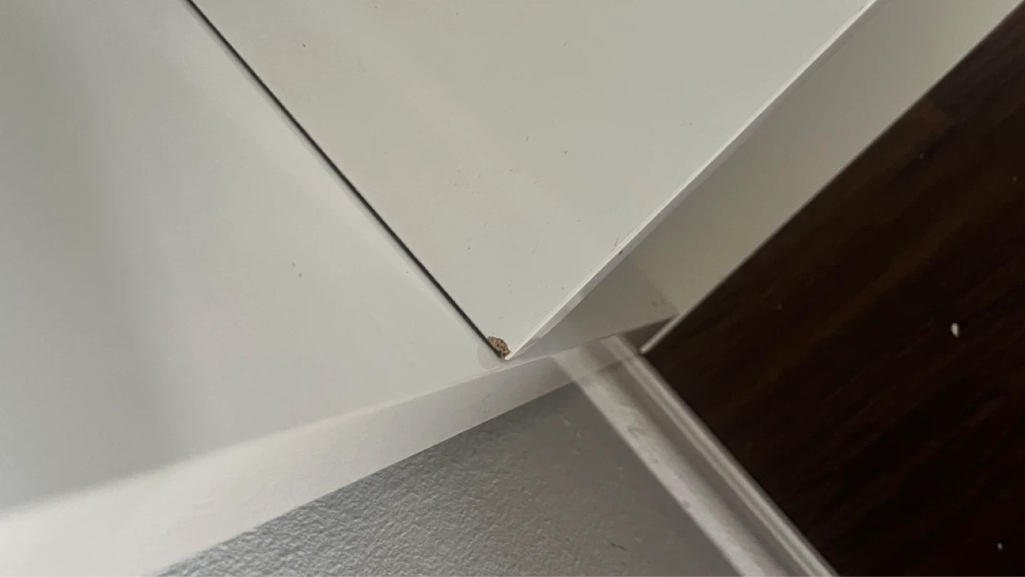White 8-Cube Shelf Unit - photo 3