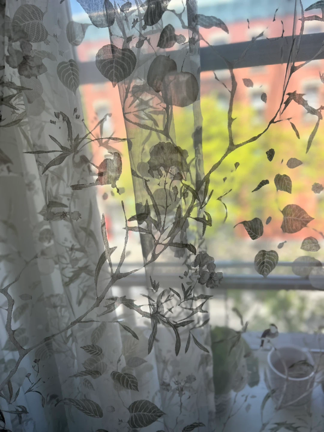 Sheer Floral Print Curtains (Set of 2)