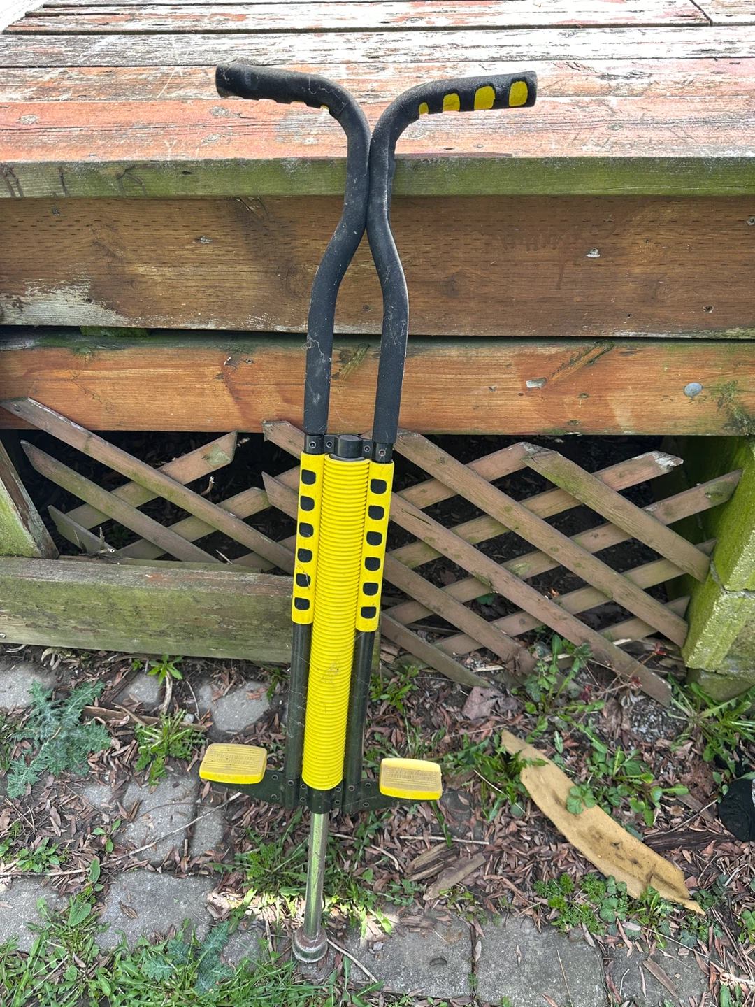 Kids Pogo Stick Jumper