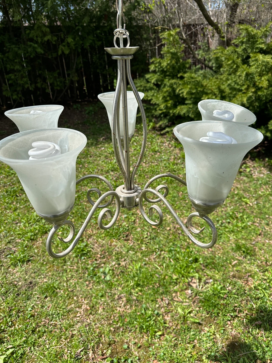 5-Light Chandelier with Frosted Glass Shades
