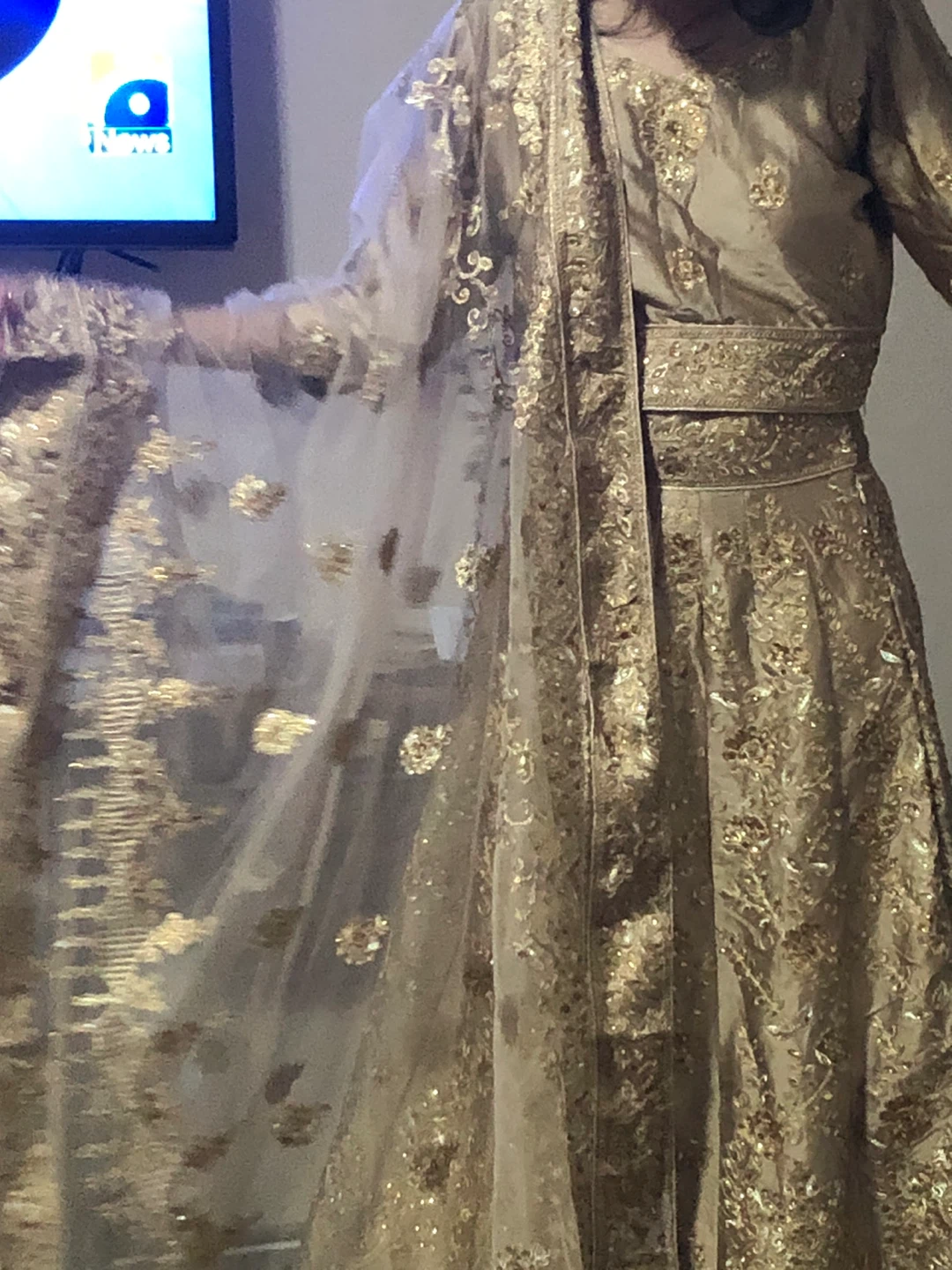 Gold Embroidered Indian Wedding Dress