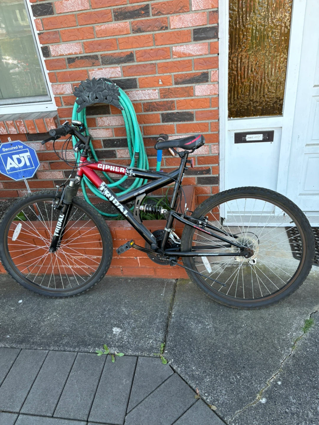 Cipher Tribal Mountain Bike