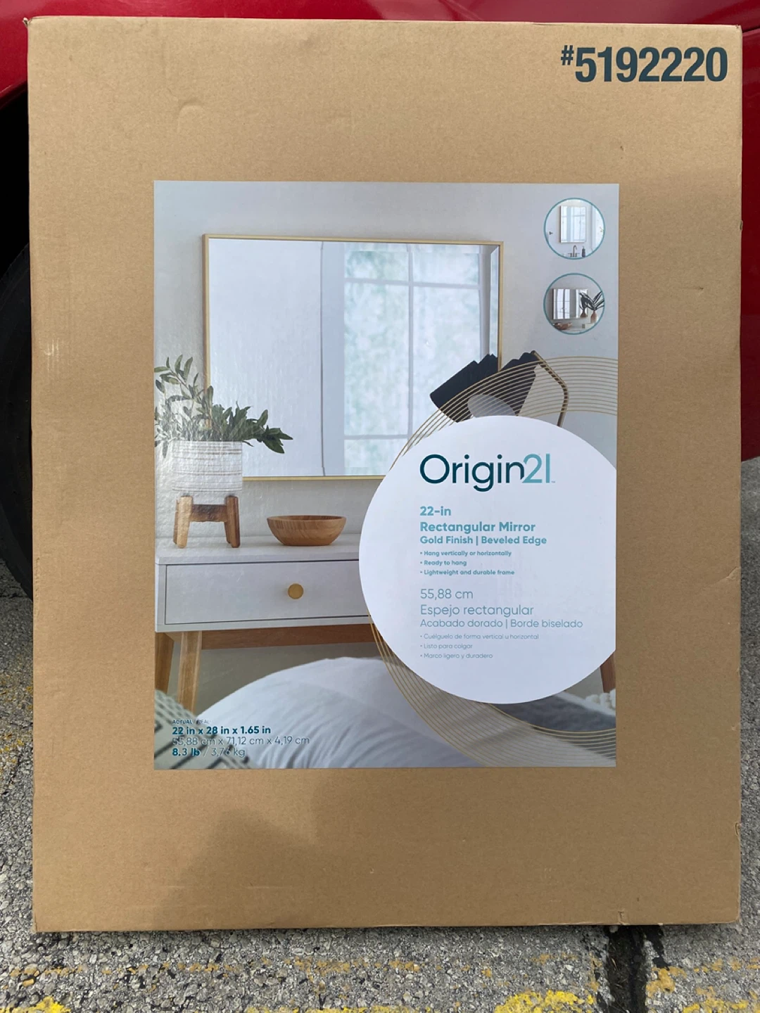 Origin 21 22-in Rectangular Mirror 🌱