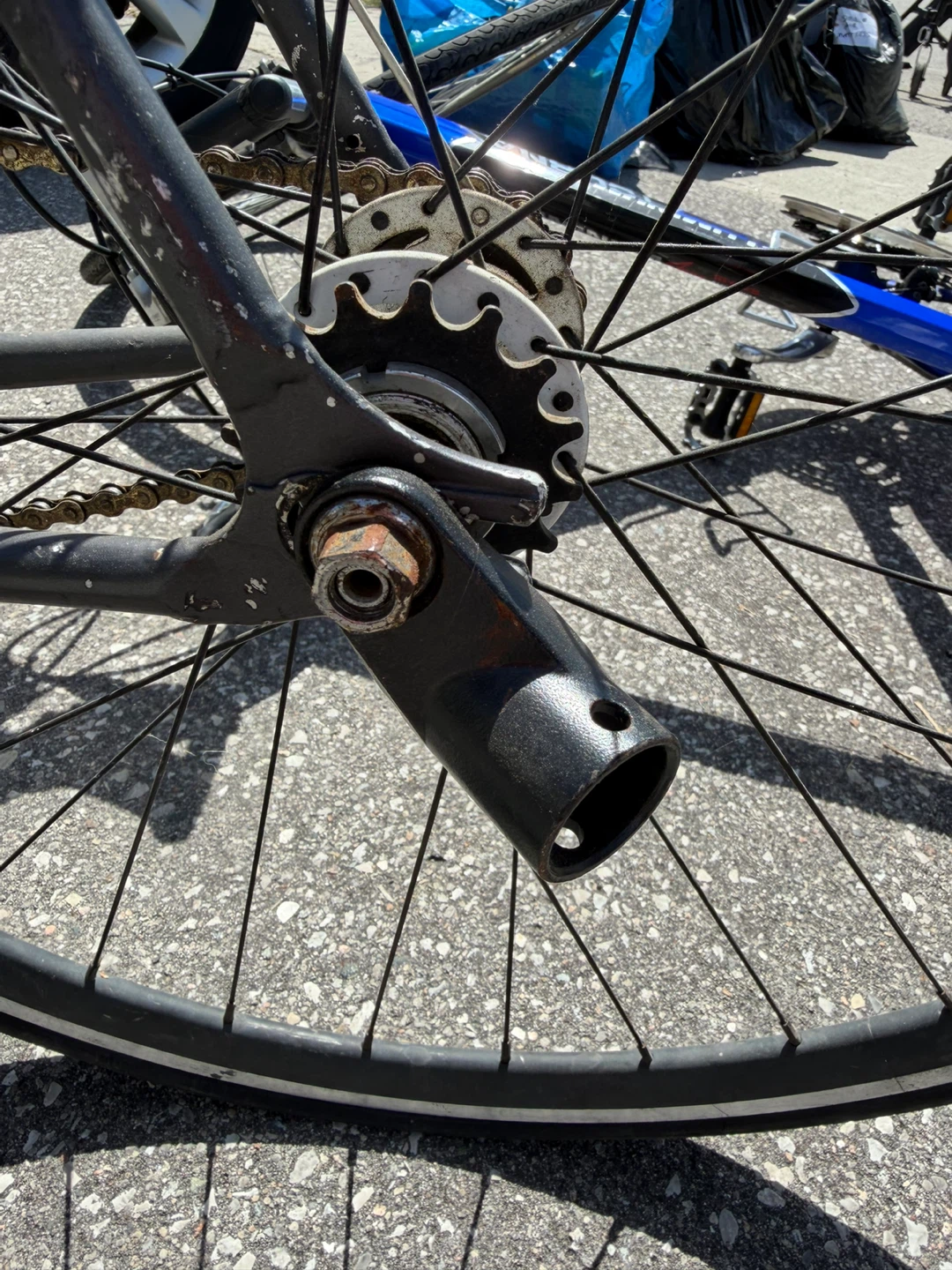 Schwinn Bicycle Trailer - photo 3