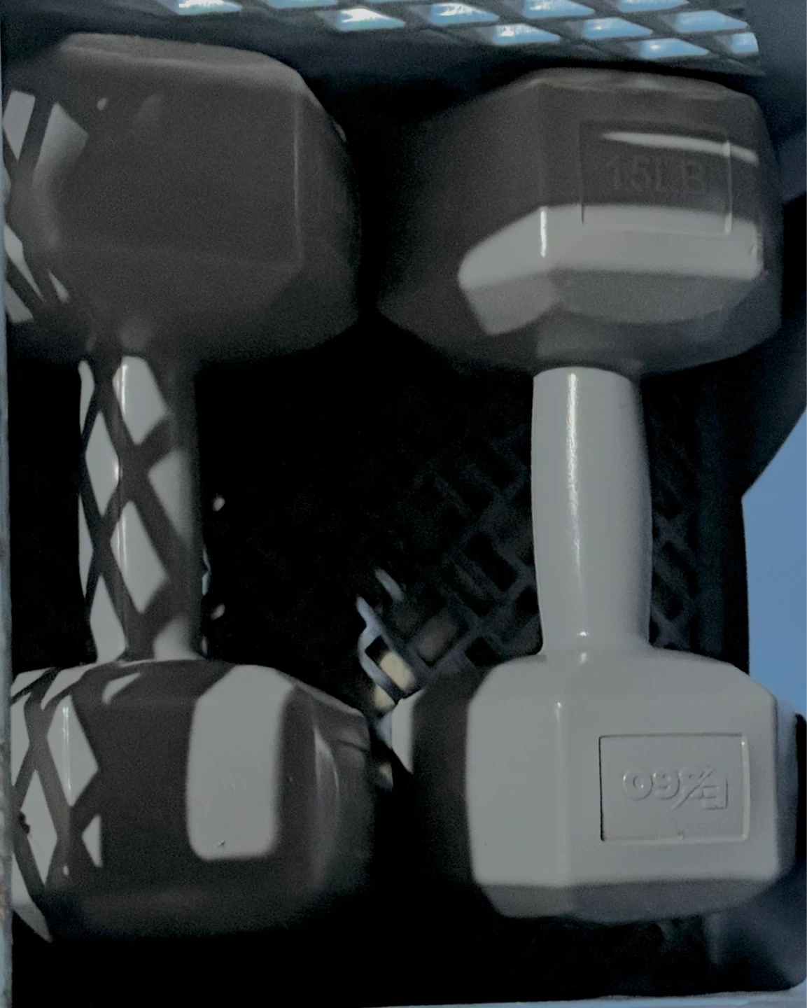 🌱 Pair of E36O Dumbbells 15 LB