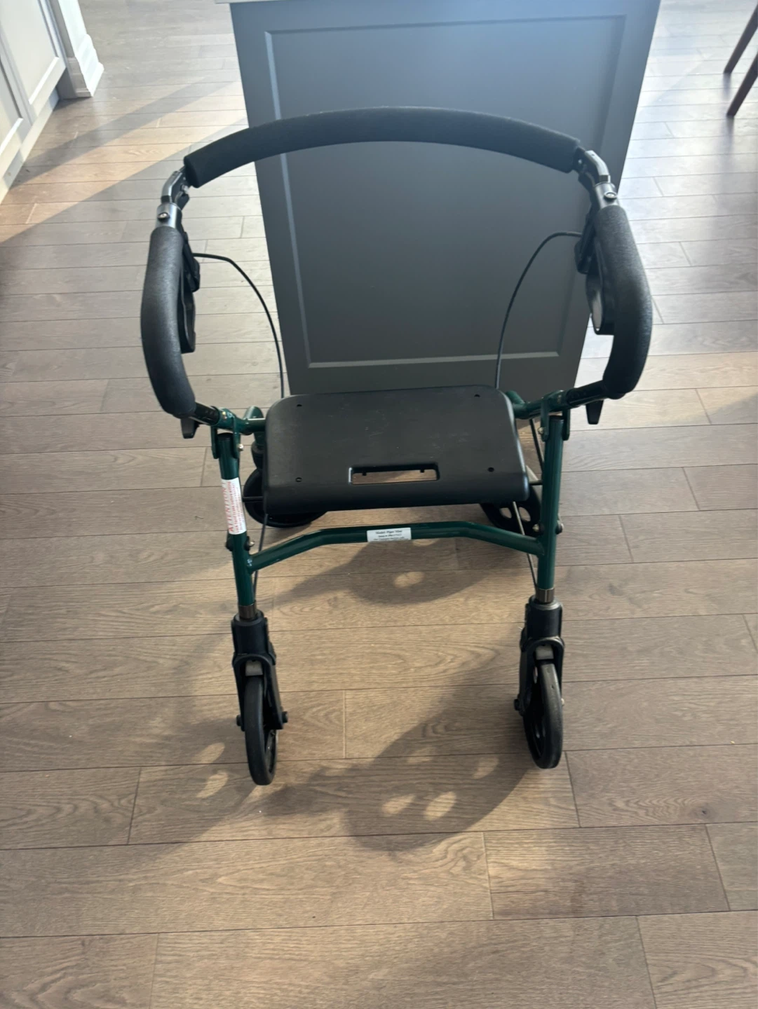 Evolution Piper Series Walker - photo 2