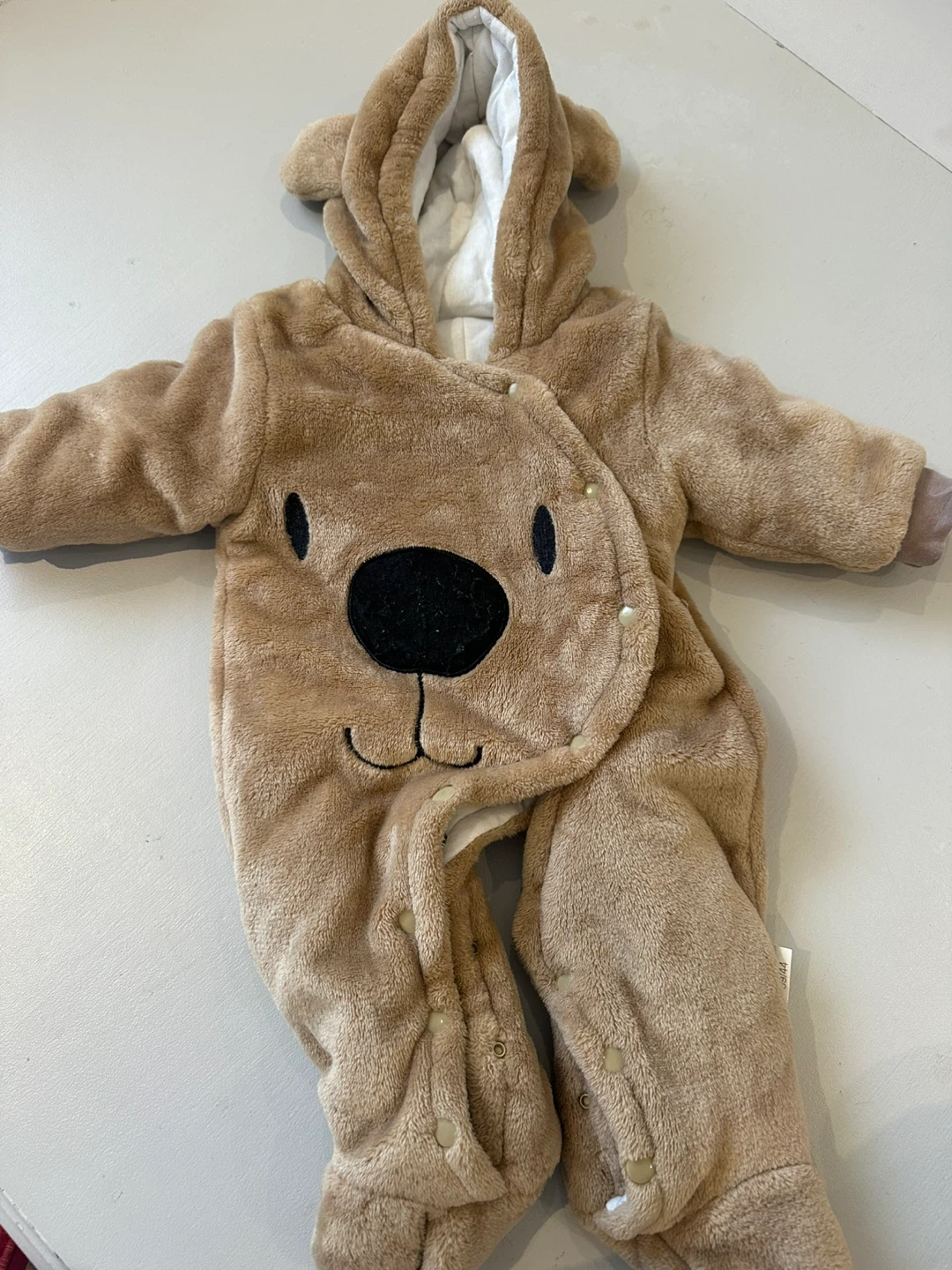 Baby Bear Fleece Bunting Suit - photo 3