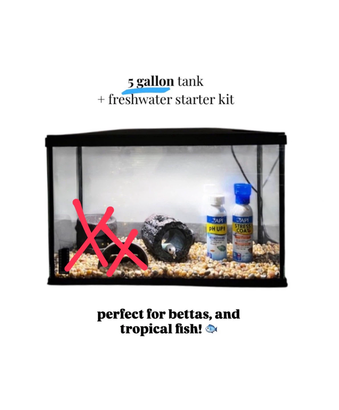 5 Gallon Betta Tank Setup – Freshwater Kit Decor, Gravel