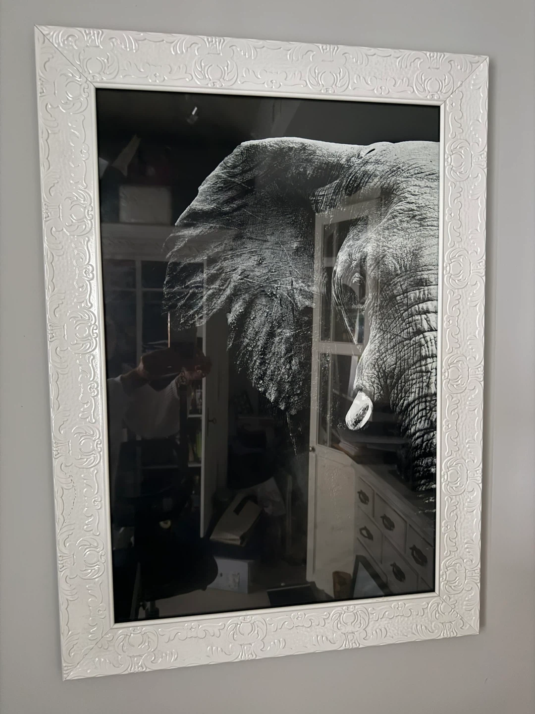 Framed Elephant Print