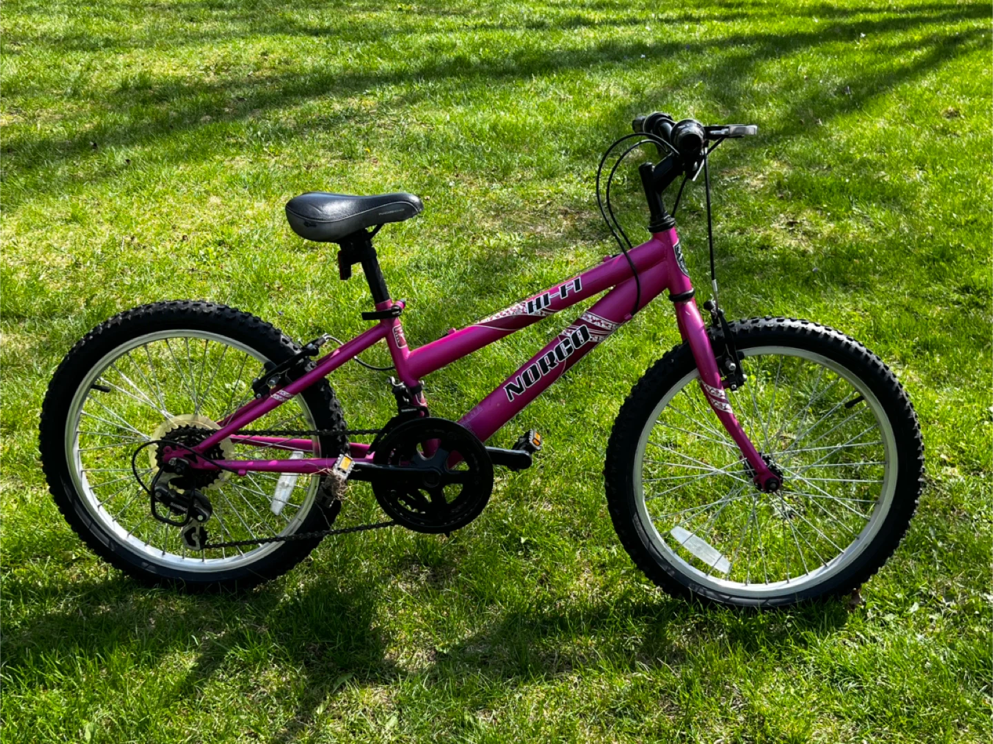 20” Norco bike
