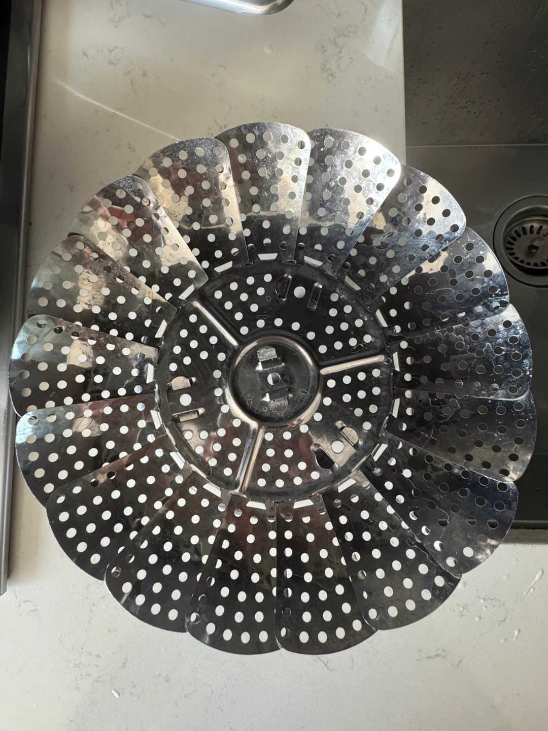 Stainless Steel Steamer Basket