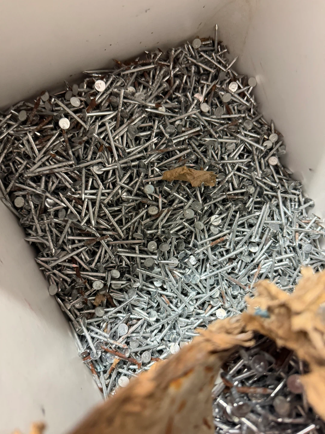 Roofing nails 1-1/2- bulk box (approx.50 lb) - photo 2