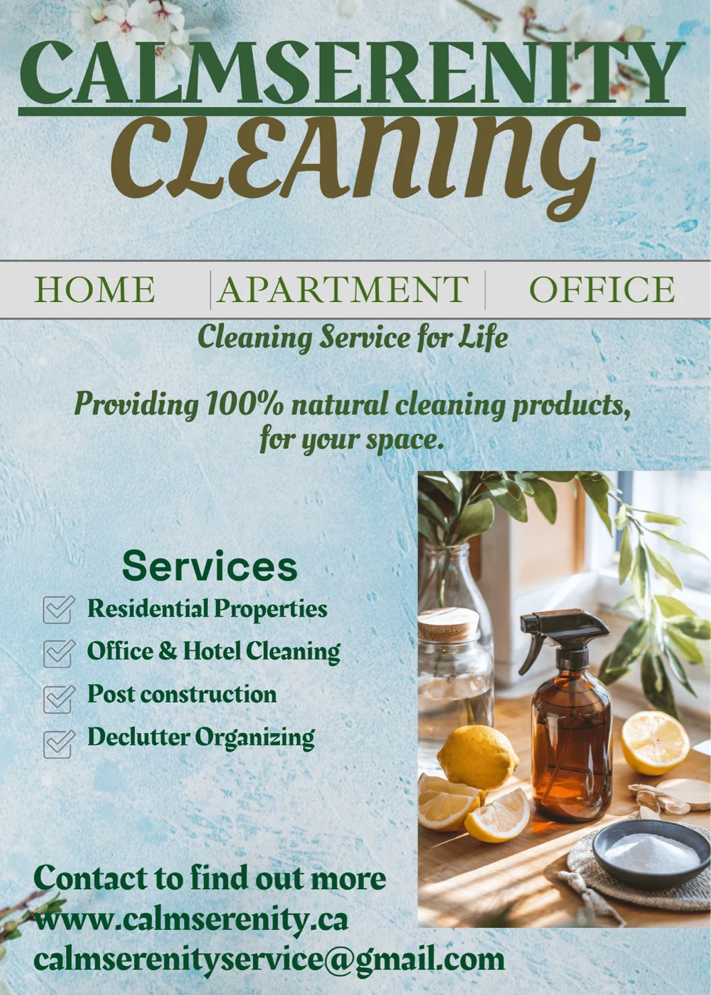 Cleaning Service with 100% Natural Products